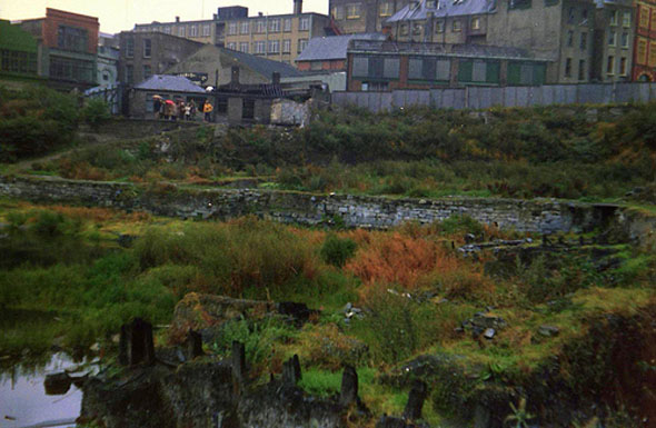 Wood Quay Viking wall goes on view